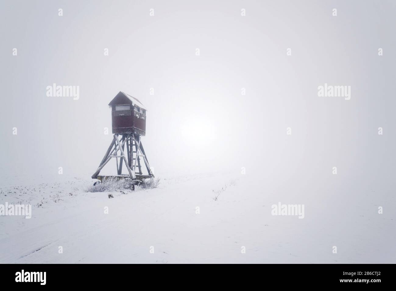 Cervi stand, cacciatori di legno alto sedile nascondere su campo coperto di neve, giorno nebbia invernale Foto Stock