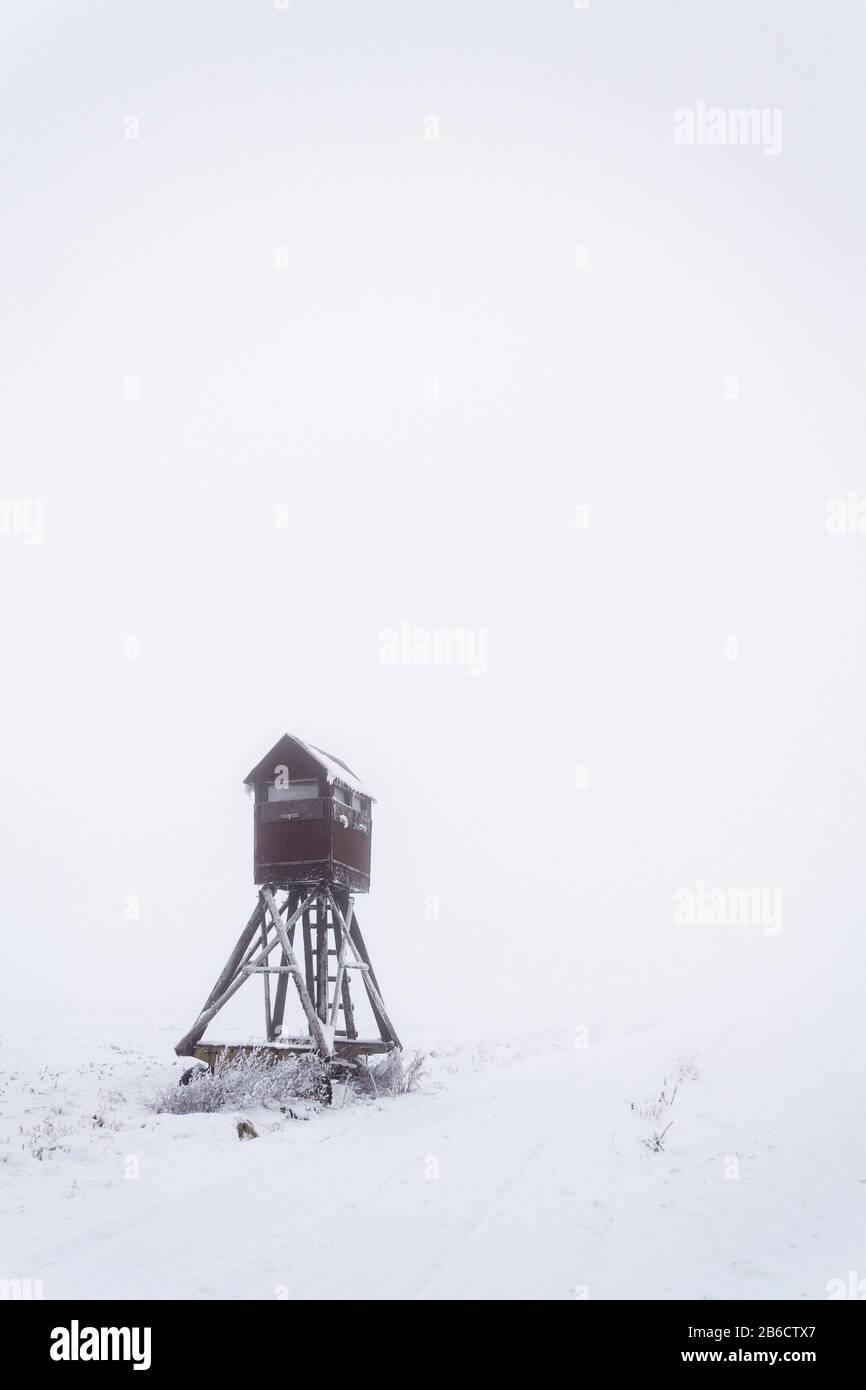 Cervi stand, cacciatori di legno alto sedile nascondere su campo coperto di neve, giorno nebbia invernale Foto Stock