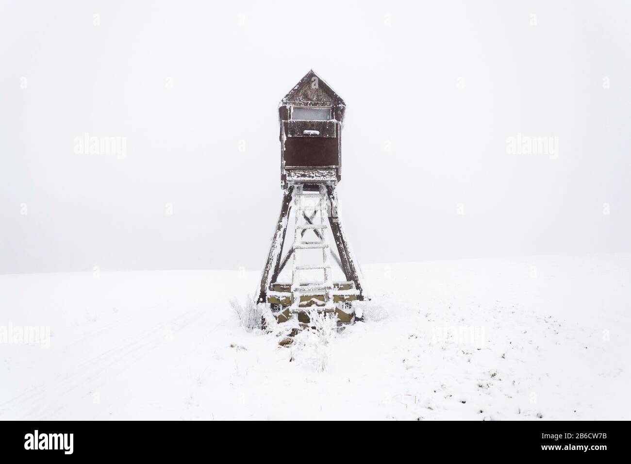 Cervi stand, cacciatori di legno alto sedile nascondere su campo coperto di neve, giorno nebbia invernale Foto Stock