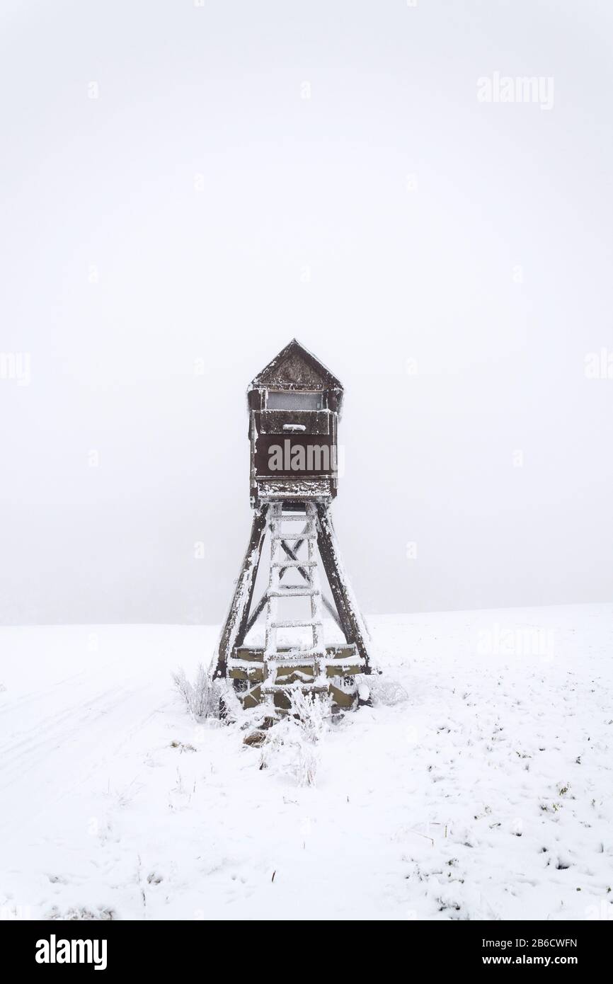 Cervi stand, cacciatori di legno alto sedile nascondere su campo coperto di neve, giorno nebbia invernale Foto Stock