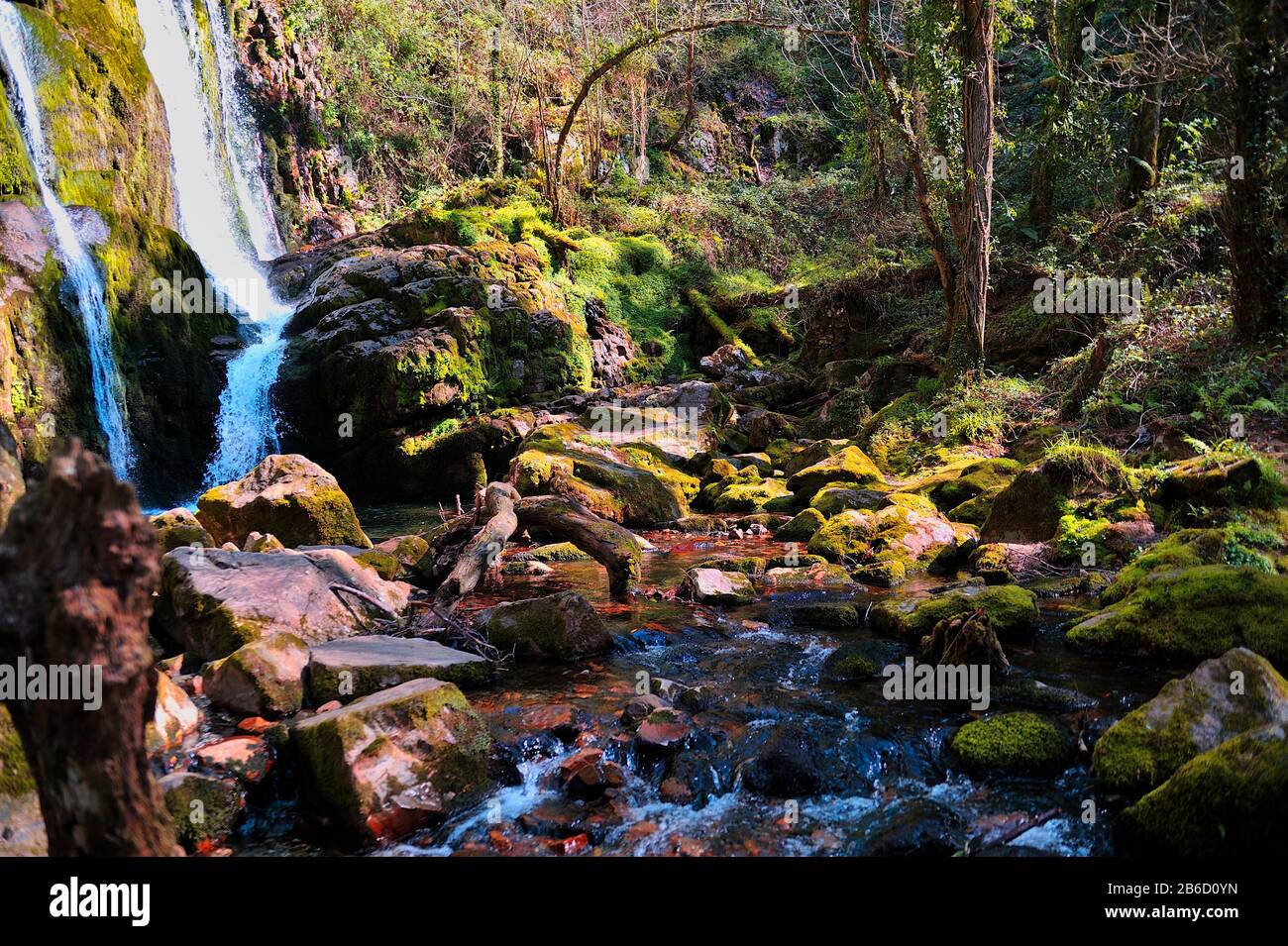 Cascate di Oneta nel mezzo della foresta, Asturias (Spagna). Foto Stock