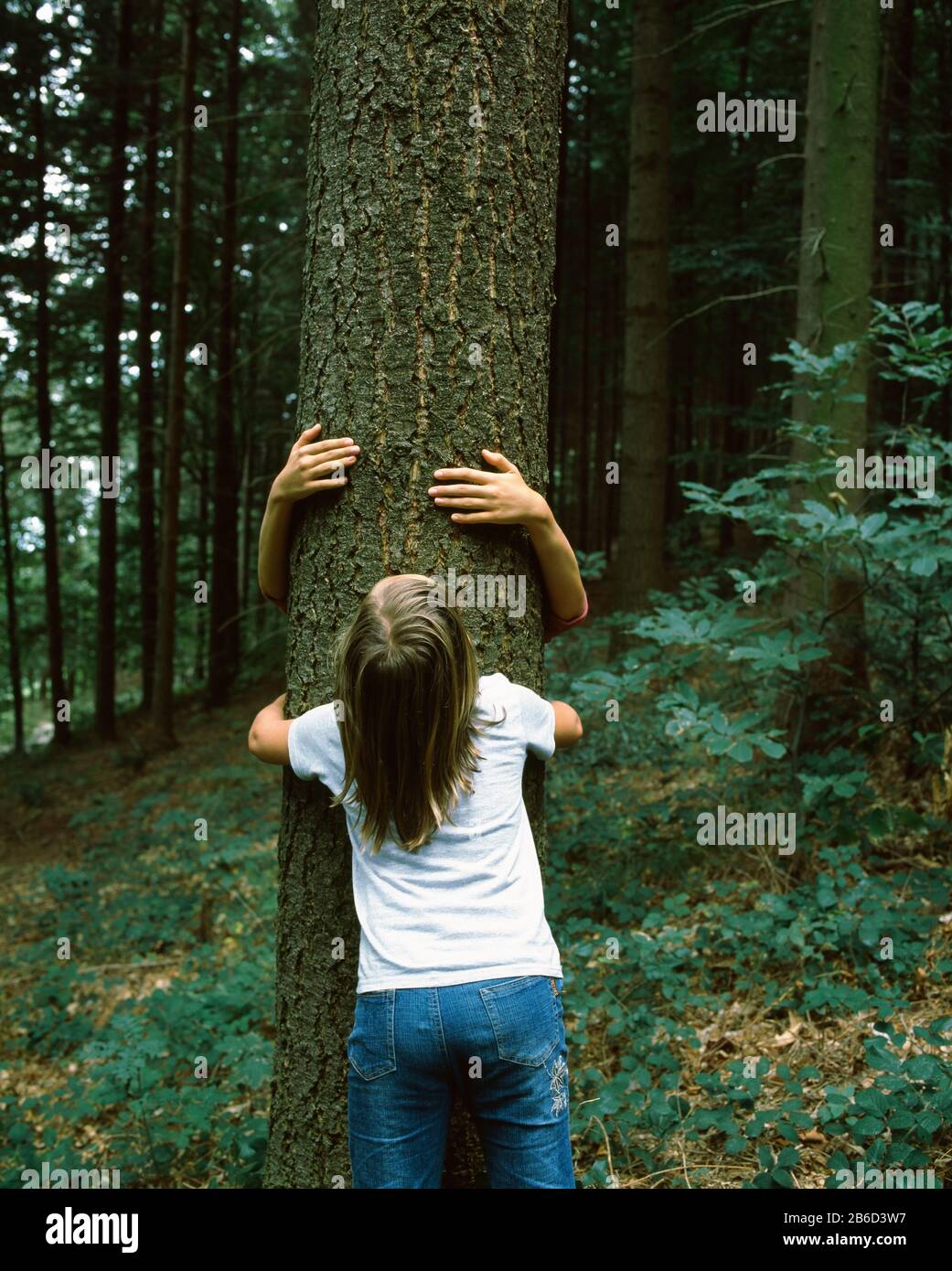 Due ragazze che abbracciano un albero, la Germania Foto Stock