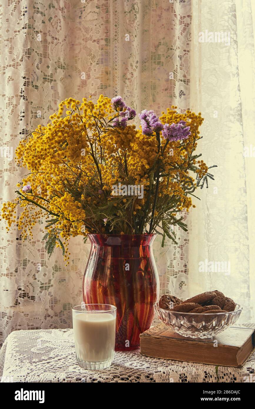 Un vaso rosso con una Mimosa su una tovaglia di pizzo, accanto a libri, biscotti e un bicchiere di latte . Foto Stock