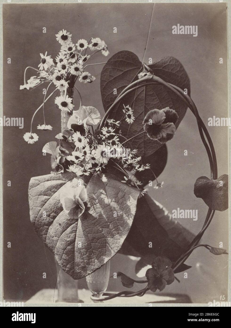 Vasi di vetro di studio del fiore Parte di Verzamelband con foto bloemstudies. Produttore : fotografo: Charles Aubry (Way) editore: A. Calavas (edificio elencato) fotografo: Bootte & Martin (possibile) Luogo produzione: Parigi Data: CA. 1875 - ca. 1895 caratteristiche Fisiche: Albume stampa materiali: Cartone tecnica: Albume stampa formati: Cartone: H 350 mm × W 260 mmfoto: H 236 mm × W 175 mm Oggetto: Fiori o contenitore di vetro: Bottiglia, vaso, vaso Foto Stock