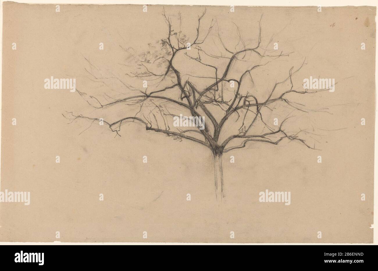 Boomstudie Tree Study Object Type: Drawing Object Number: RP-T 1961-141 Manufacturer : artist: Cornelis Gerardus' t Hooft (1791-1871) Date: 1801 - 1871 Caratteristiche Fisiche: Gesso nero materiale: Gesso carta dimensioni: H 353 mm × b 555 mm Oggetto: Albero Foto Stock