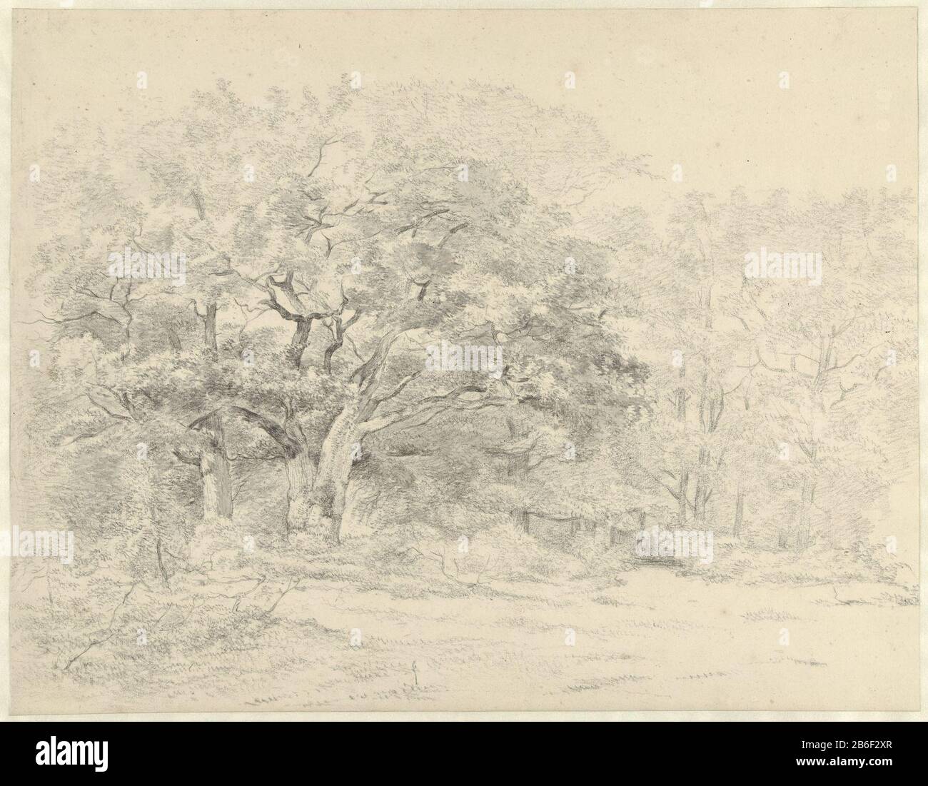 Scena Woodland con vecchia foresta di quercia scena con vecchio Oggetto eik tipo : disegno numero Oggetto: RP-T 1983-71 Produttore : artista Abraham Johannes Ruytenschildt datazione: 1788 - 1841 caratteristiche Fisiche: Pennello in grigio, gesso nero materiale: Carta Gesso Tecnica: Dimensioni spazzola: H 349 mm b × 450 mm Oggetto: foresta, gradini in legno: rovere Foto Stock