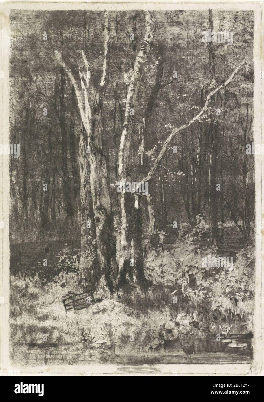 Bosgezicht una scena forestale con in primo piano un gruppo di quattro alberi. Ai piedi degli alberi si trova un vogelkooi. Produttore : stampatore Luigi Conconi (attribuito a) Luogo di produzione: Italia Data: 1862 - 1917 caratteristiche Fisiche: Materiale di incisione: Tecnica della carta: Incisione dimensioni: Bordo della lastra: H 405 mm × W 285 mm Oggetto albero del paesaggio Foto Stock