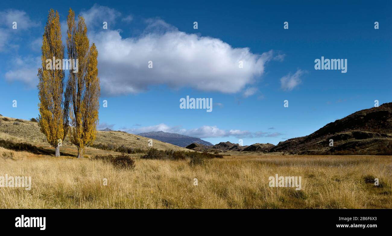 Prateria, Valle Chabacuco, Parco Nazionale Della Patagonia, Regione Di Aysen, Patagonia, Cile Foto Stock
