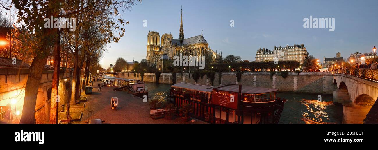 Vista sulla Senna da Pont de l'Archeveche, Notre Dame, Parigi, Ile-de-France, Francia Foto Stock