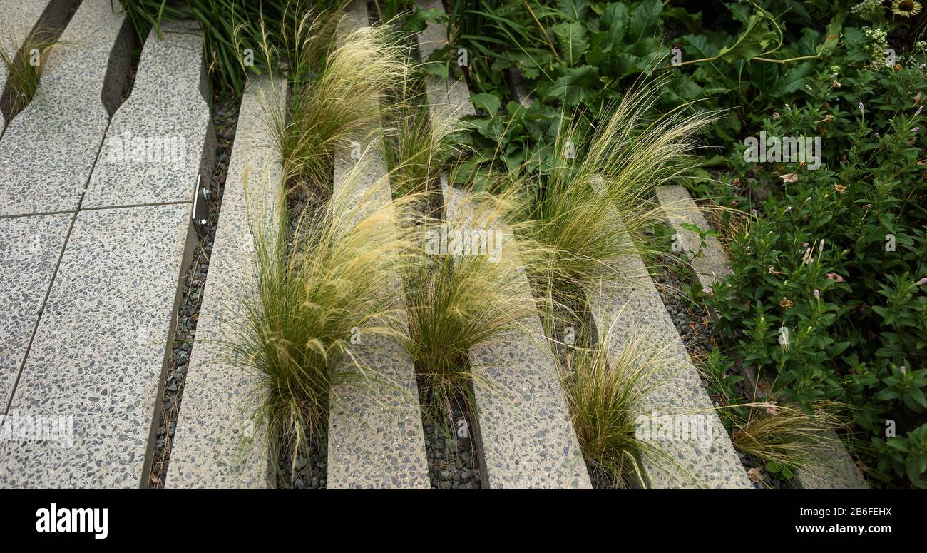Piante Che Crescono Tra I Gradini, High Line Park, Lower West Side, Manhattan, New York City, New York State, Usa Foto Stock