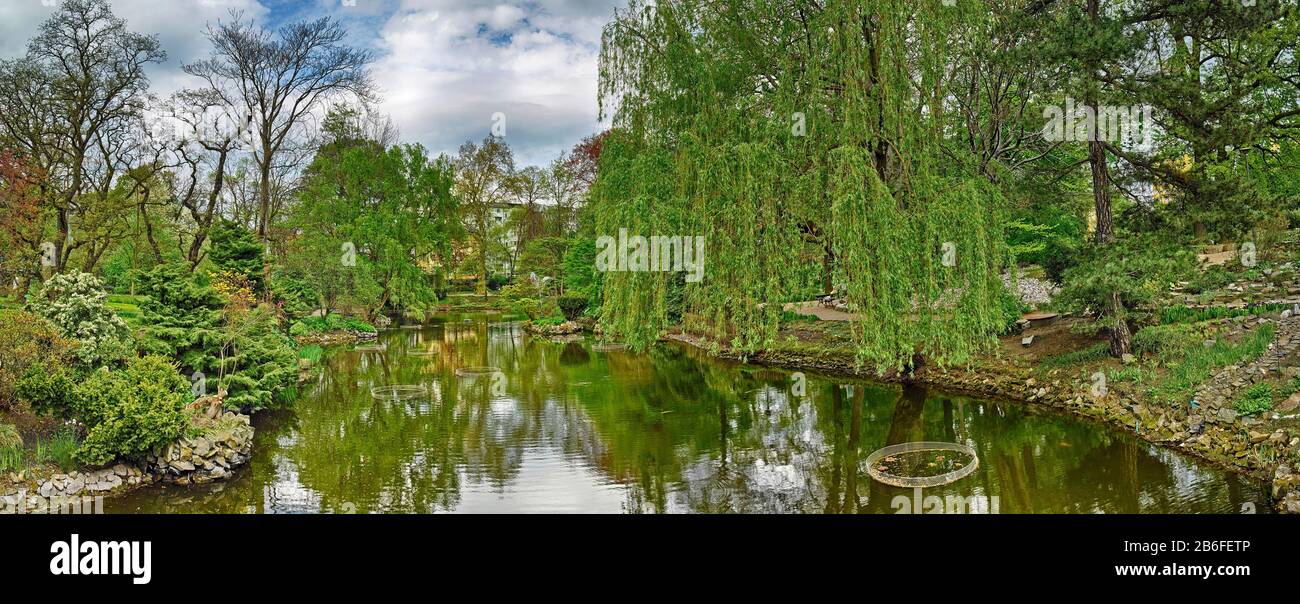 Vista su un giardino botanico, Cracovia, Polonia Foto Stock