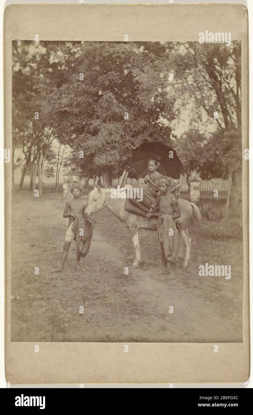 Principessa Buginese a cavallo principessa Buginese a cavallo tipo Di Oggetto: Foto Cabinet numero dell'articolo: RP-F F18013 Iscrizioni / marchi: Iscrizione vero, ha scritto: 'Indian Prinzessin von tribe of Buginesen (Celebes) aud ihrem Pferde sitzend in Begelei Tung von 2 Then Eren ' fabbricazione: Fotografo: Anonimo luogo fabbricazione: Indonesia Data: 1870 - 1900 caratteristiche Fisiche: Albume materiale di stampa: Carta Tecnica: Albume dimensioni di stampa: Foto: H 131 mm × W 100 mmblad: H 165 mm × W 106 mmOnderwerp Foto Stock