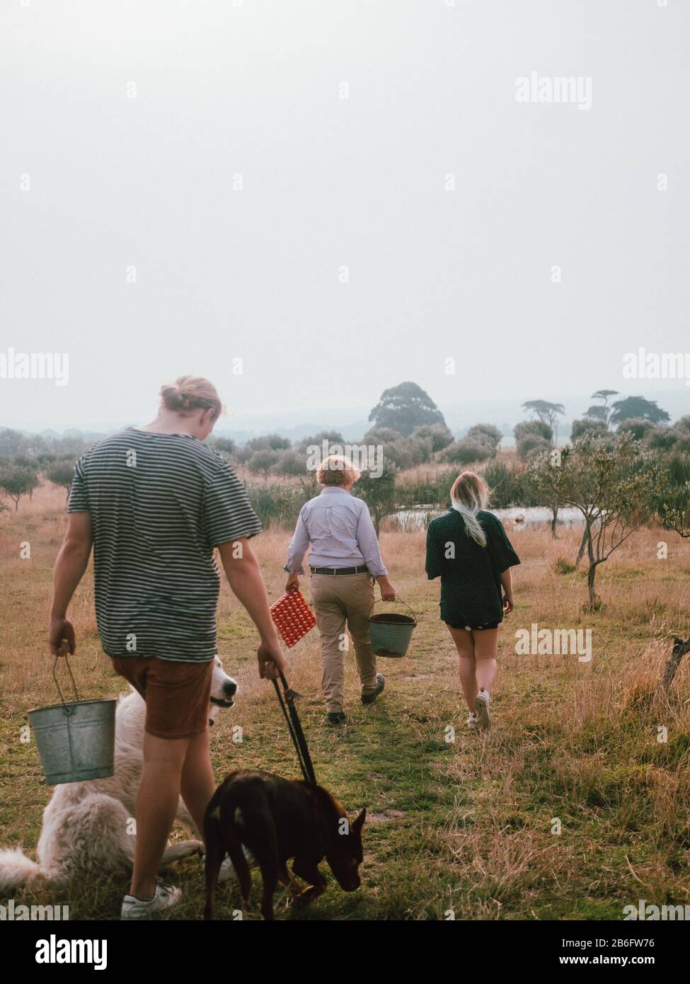 Free Range Farming Foto Stock