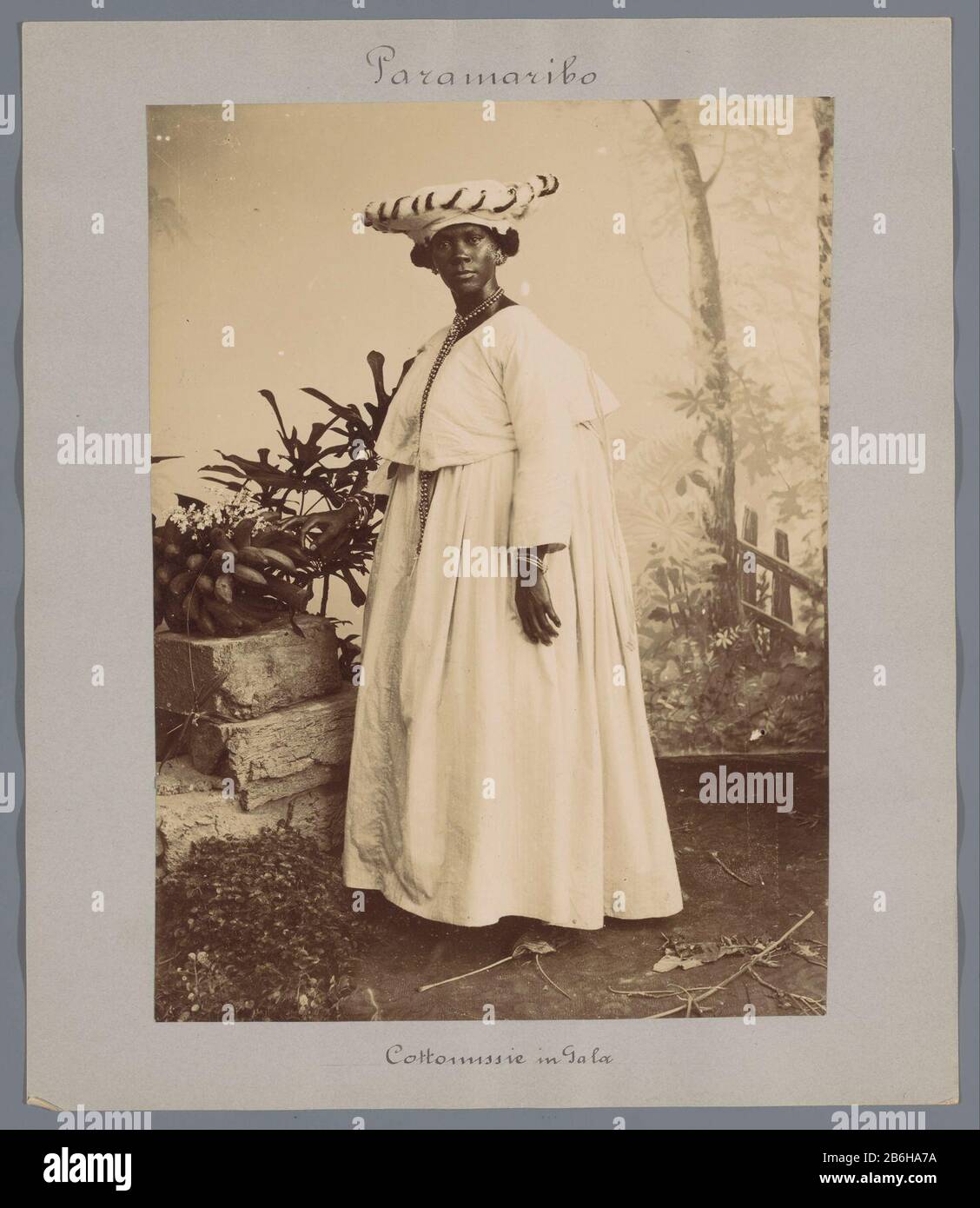 Cottomissie in Gala (oggetto del titolo) Ritratto di una donna Surinamese in piedi in kotomisi. Stare in piedi ad una frutta ancora vita su un palco in studio. Parte di un gruppo di 44 foto di Paramaribo, Suriname e Curacao, ca. 1900-1905, incollato su cartone e opschriften attrezzato. Produttore : fotografo: Eugen Klein Luogo fabbricazione: Paramaribo datazione: 1900 - 1905 caratteristiche Fisiche: Luce naturale gelatina argento stampa materiale: Carta cartone Tecnica: Luce naturale gelatina argento stampa dimensioni : h 227 mm × W 166 mm Data: 1900 - 1905 Foto Stock