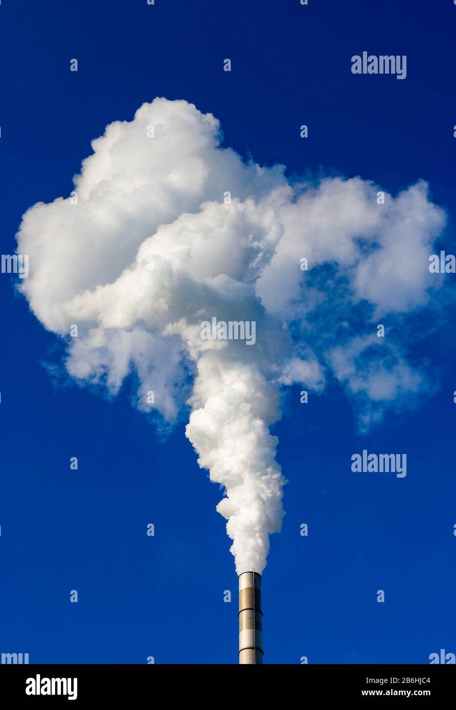 Camino fumoso, fumo da industria Chimney, Lenzing, Austria superiore, Austria Foto Stock
