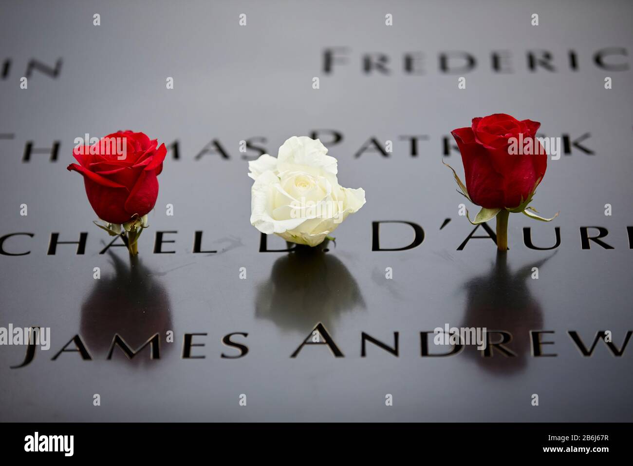 New York City Manhattan White Rose Significa memoria dei compleanni delle 911 vittime a loro nome al Memoriale dell'11 settembre Foto Stock