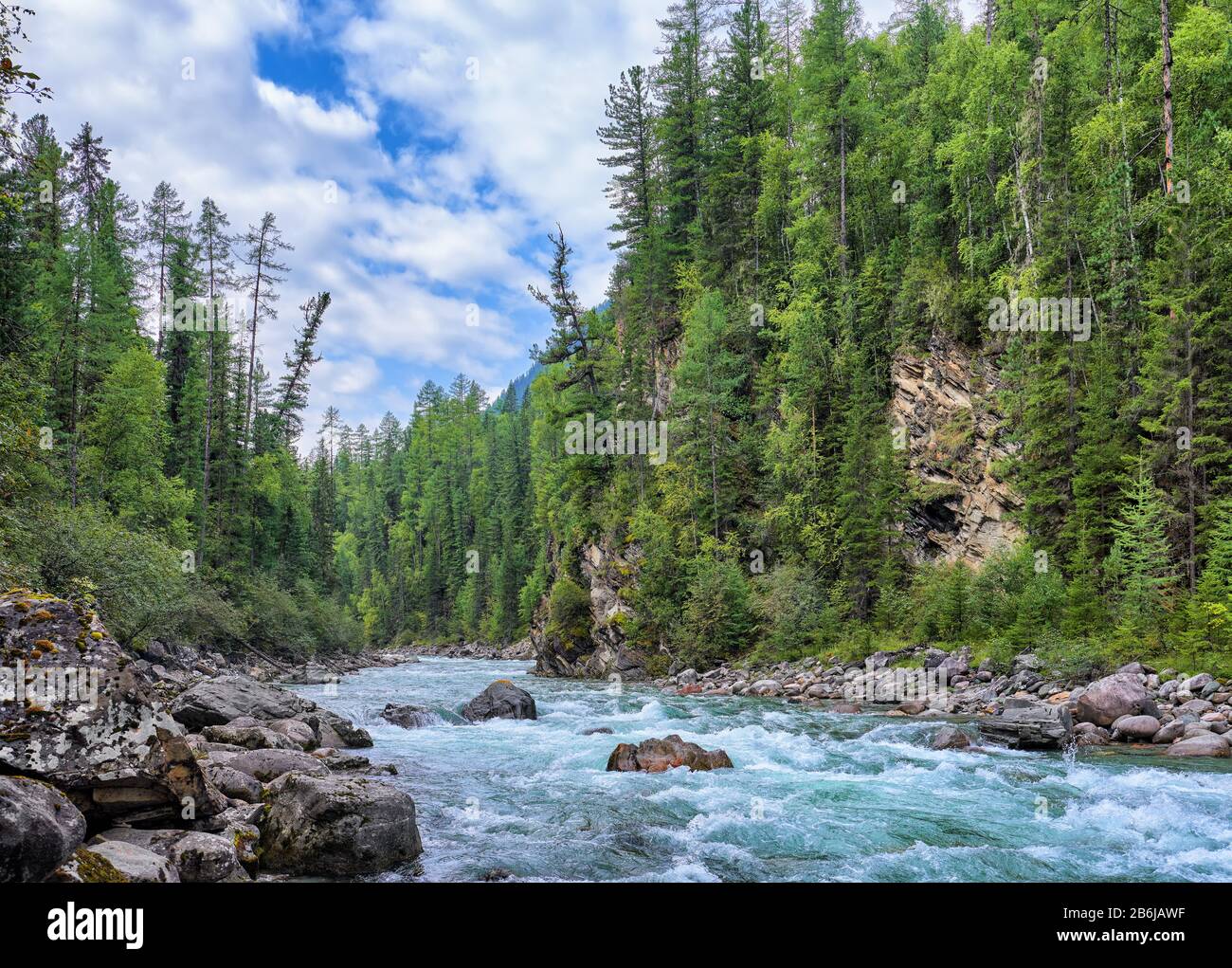 Flusso turbolento di ruscello di montagna. Paesaggio siberiano. Scogliera verticale sorcresciuta con taiga di conifere in agosto. Sayan Orientale. Buryatia. Russia Foto Stock