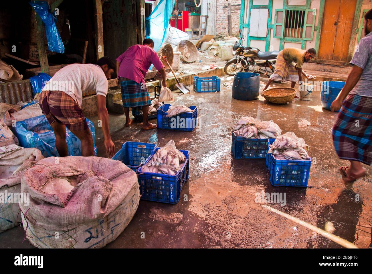 Le fatiche stanno scaricando diversi tipi di pesci dal porto di pesca. Il pesce è un grande mezzo per combattere l'insicurezza alimentare e i cambiamenti climatici in Bangladesh. Foto Stock