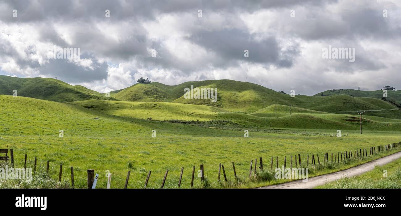 Paesaggio con piste curve in verde mite campagna collinare, sparato in luminosa luce di tarda primavera vicino Whakarewarewa, Baia Di Abbondanza, Isola del Nord, New Zea Foto Stock