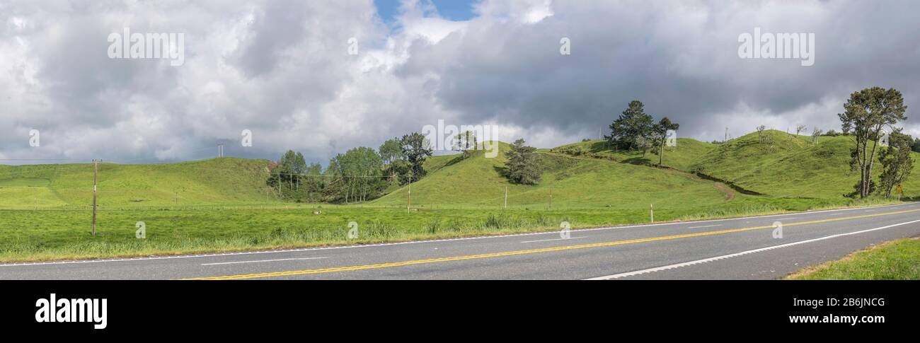 Paesaggio con autostrada 5 in verde mite campagna collinare, girato in luminosa luce di tarda primavera vicino Whakarewarewa, Baia Di Abbondanza, Isola del Nord, New Zealan Foto Stock