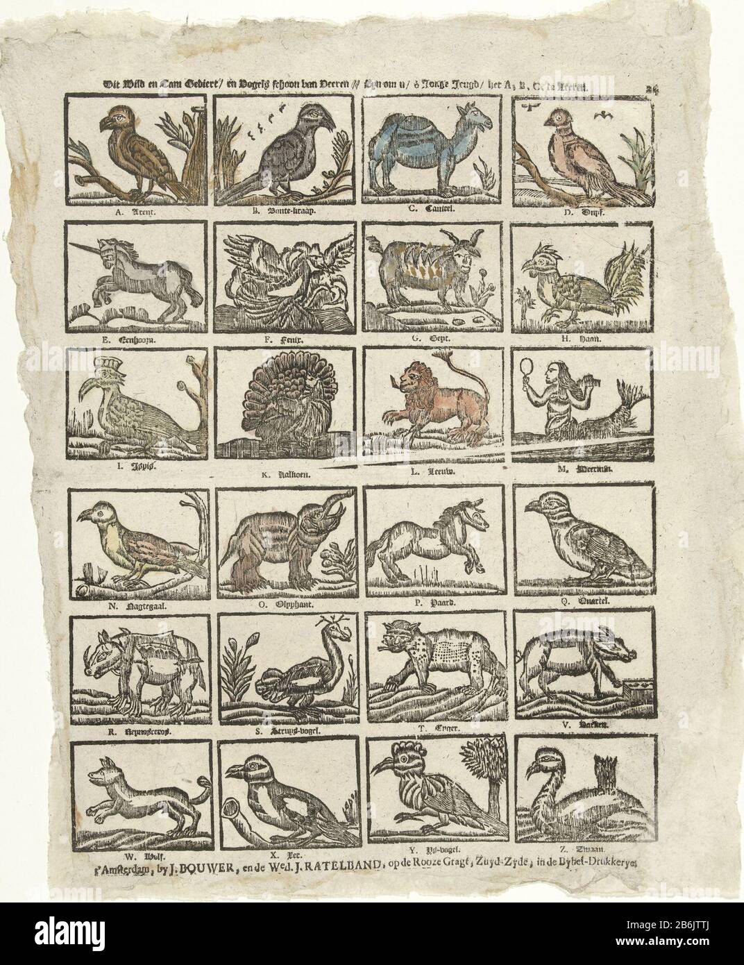 Journal illustrato con animali 24 mostra rappresentazioni ...