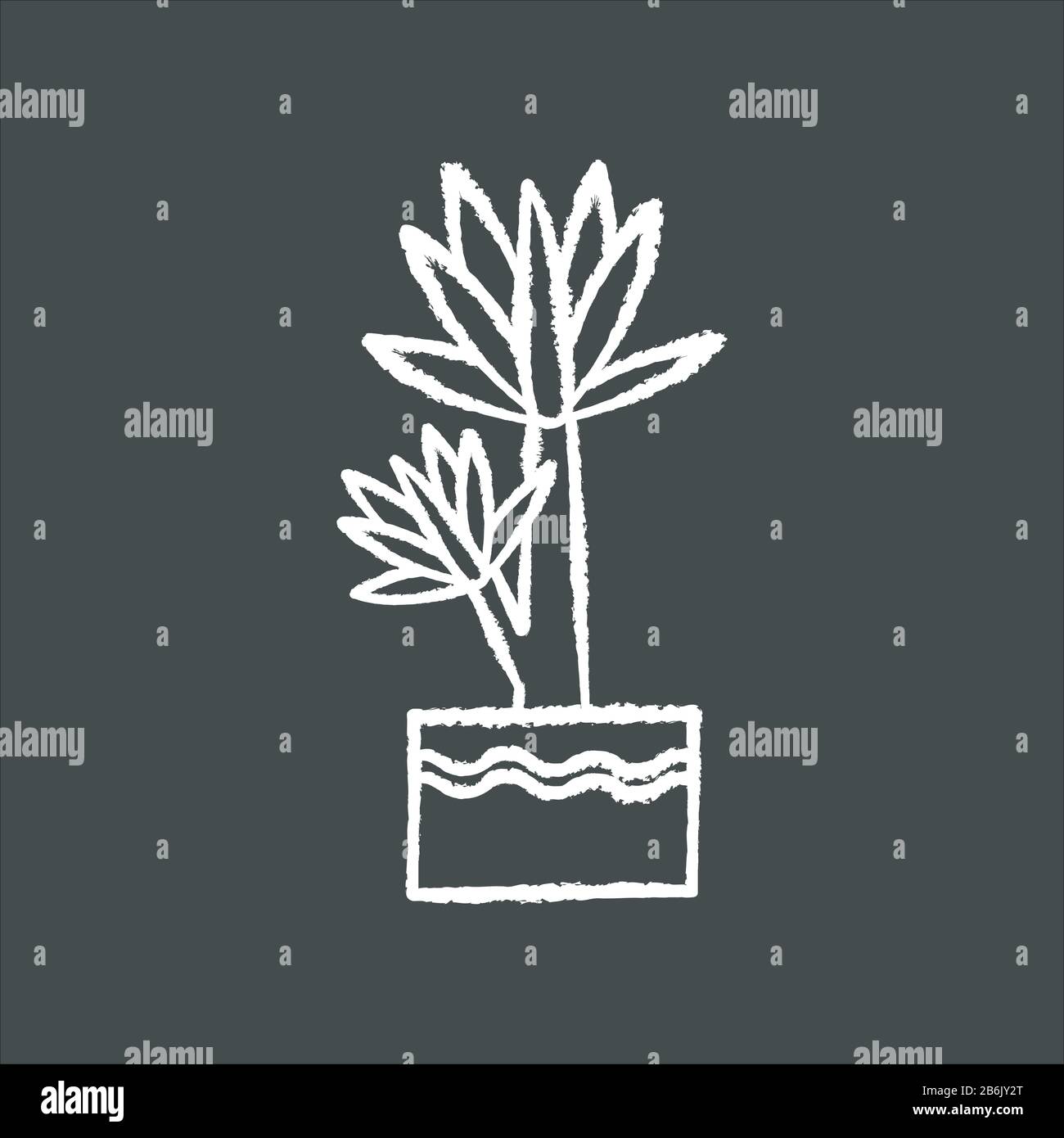Icona bianca di Yucca gesso su sfondo nero. Piccola e esotica palma interna. Albero messicano. Impianto decorativo con foglie appuntite. Casa naturale, ufficio Illustrazione Vettoriale