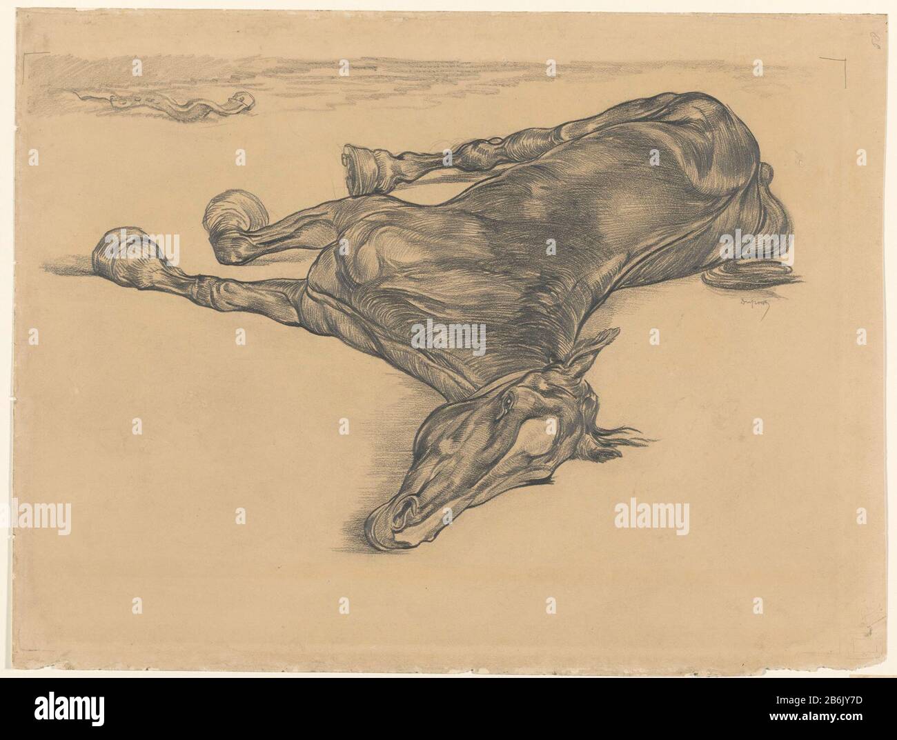 Cavallo morto cavallo morto tipo oggetto: Disegno numero Oggetto: RP-T-1913-184 (R) fabbricazione Creatore: Artista: Pieter Dupont Data: 1880 - 1911 caratteristiche Fisiche: Matita materiale: Matita carta dimensioni: H 483 mm × W 644 mm Oggetto: Cavallo (+ animale morente; morte o animale; animale morto) Foto Stock