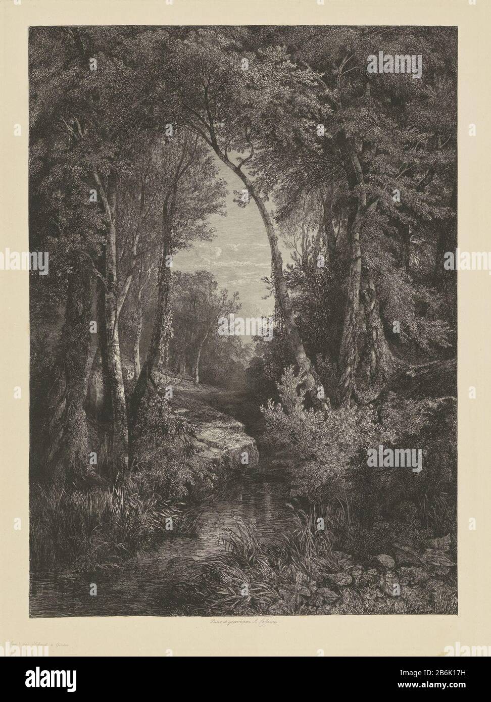 Doorkijkje In foresta Intravedere in bos Oggetto tipo : immagine numero articolo: RP-P-OB-70.483 Produttore : stampatore Alexandre Calamedrukker: Schmid (stampante) a dipingere di Alexandre CalamePlaats fabbricazione: Stampatore: Francia Editore: Ginevra a dipingere: Francia Data: 1820 - 1864 caratteristiche Fisiche: Materiale di incisione: Tecnica della carta: Acquaforte Foto Stock