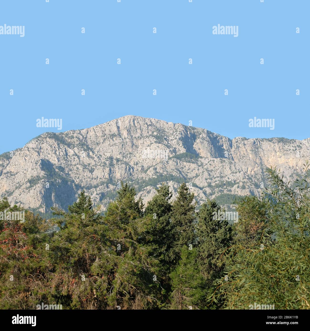 Paesaggio con alte montagne con pini rocciosi sulle pendici e foreste di conifere ai piedi sotto il cielo blu senza nuvole nella soleggiata giornata di fronte Instag Foto Stock