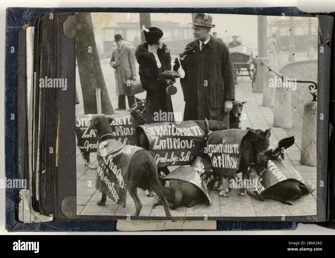 Guardia medica con cani con copia pubblicitaria per la collezione stradale dell'11 novembre sul retro Questa foto fa parte di un album. Produttore : fotografo: Anonimo Data: 1930 - 1940 Materiale: Carta Tecnica: Gelatina argento dimensioni di stampa: Foto: H 140 mm × W 167 mm Oggetto: Adulto mana dult womandogadvertising Foto Stock