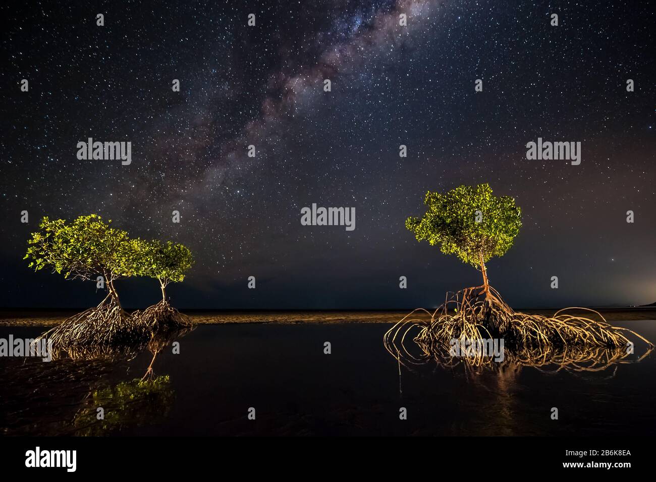 La fotografia di Milky Way e tre alberi di mangrovie rosse sui mudflats a Yule Point far North Queensland, Australia. Foto Stock
