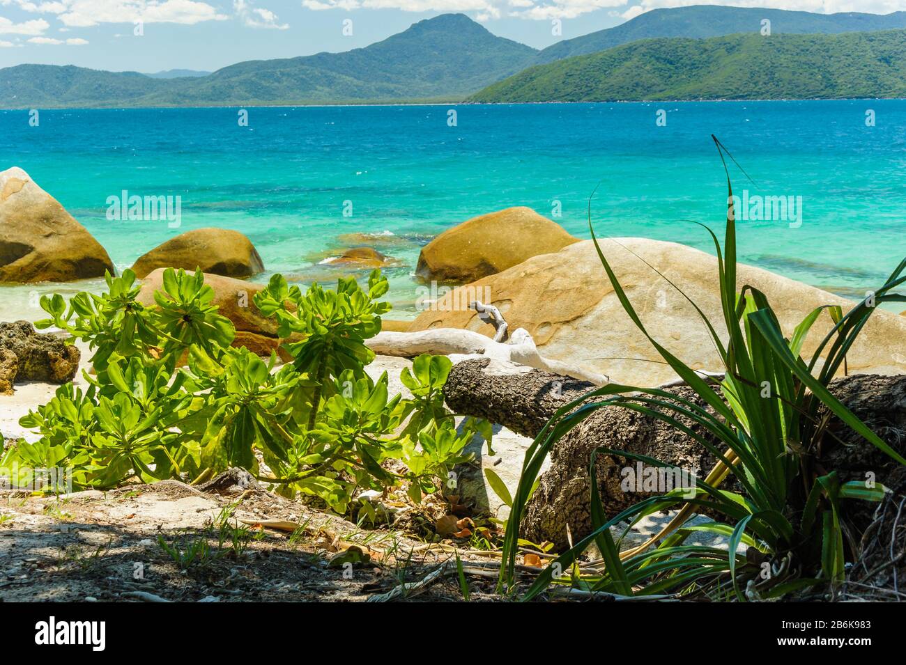 Vista attraverso le acque cristalline e blu-verdi dell'Oceano Pacifico dalla vegetazione costiera di Nudey Beach inframmezzata da massi rotondi da spiaggia. Foto Stock