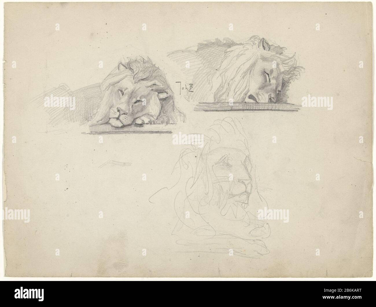 Tre studi di un leone Tre studi di un leone oggetto tipo: Disegno Oggetto numero: RP-T 1990-138 Produttore : artista: Johan Braakensiek Datato: 1868 - 1940 caratteristiche Fisiche: Matita materiale: Matita di carta dimensioni: H 231 mm × W 310 mm Soggetto: Bestie o preda, predatori animali: Leone Foto Stock
