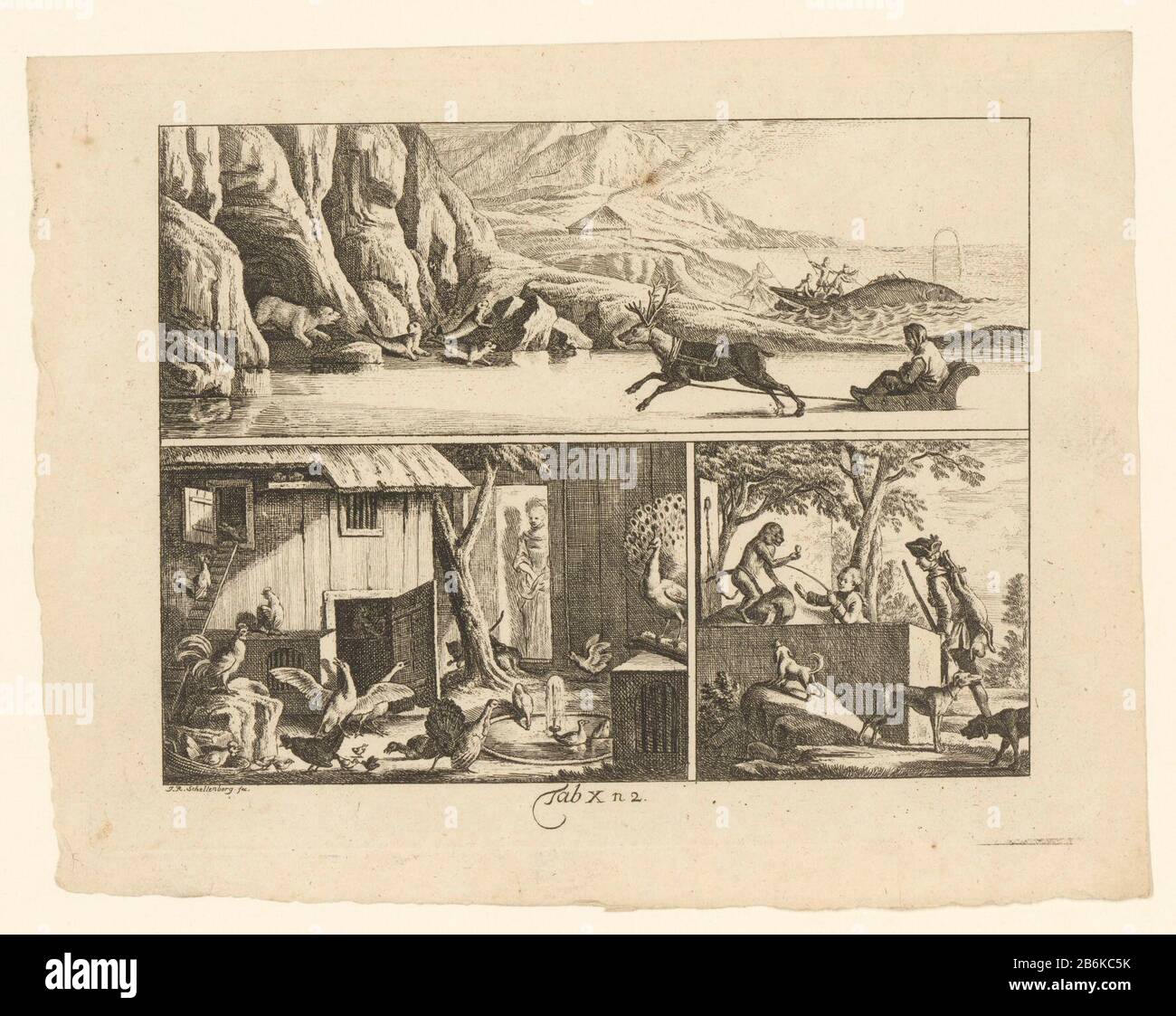Tre rappresentazioni scientifiche di animali Tab X n. 2: Artico; voliera; soldato legato con lepre sulla schiena e ragazzo scimmia spelend. Produttore : stampatore Johann Rudolph Schellenberg (edificio elencato) nel suo disegno: Johann Rudolph Schellenberg (edificio elencato) Datato: 1784 caratteristiche Fisiche: Materiale di incisione: Tecnica della carta: Incisione dimensioni: Bordo della piastra : h 196 mm × W 248 mmToelichtingPrent usato anche in: Stoy, Johann Sigmund. Bilder-Akademie für die Jugend. Norimberga: Johann Sigmund Stoy, 1784. Oggetto: Zoologia Foto Stock