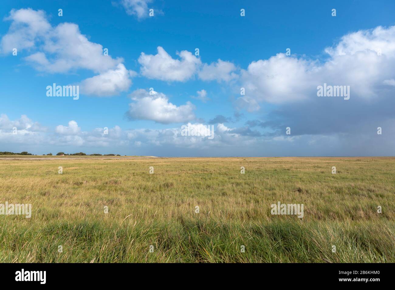 Paesaggio Con Saline, Sankt Peter-Ording, Mare Del Nord, Schleswig-Holstein, Germania, Europa Foto Stock Paesaggio Con Saline, Sankt Peter-Ording, Mare Del Nord, Schleswig-Holstein, Germania, Europa Foto Stock