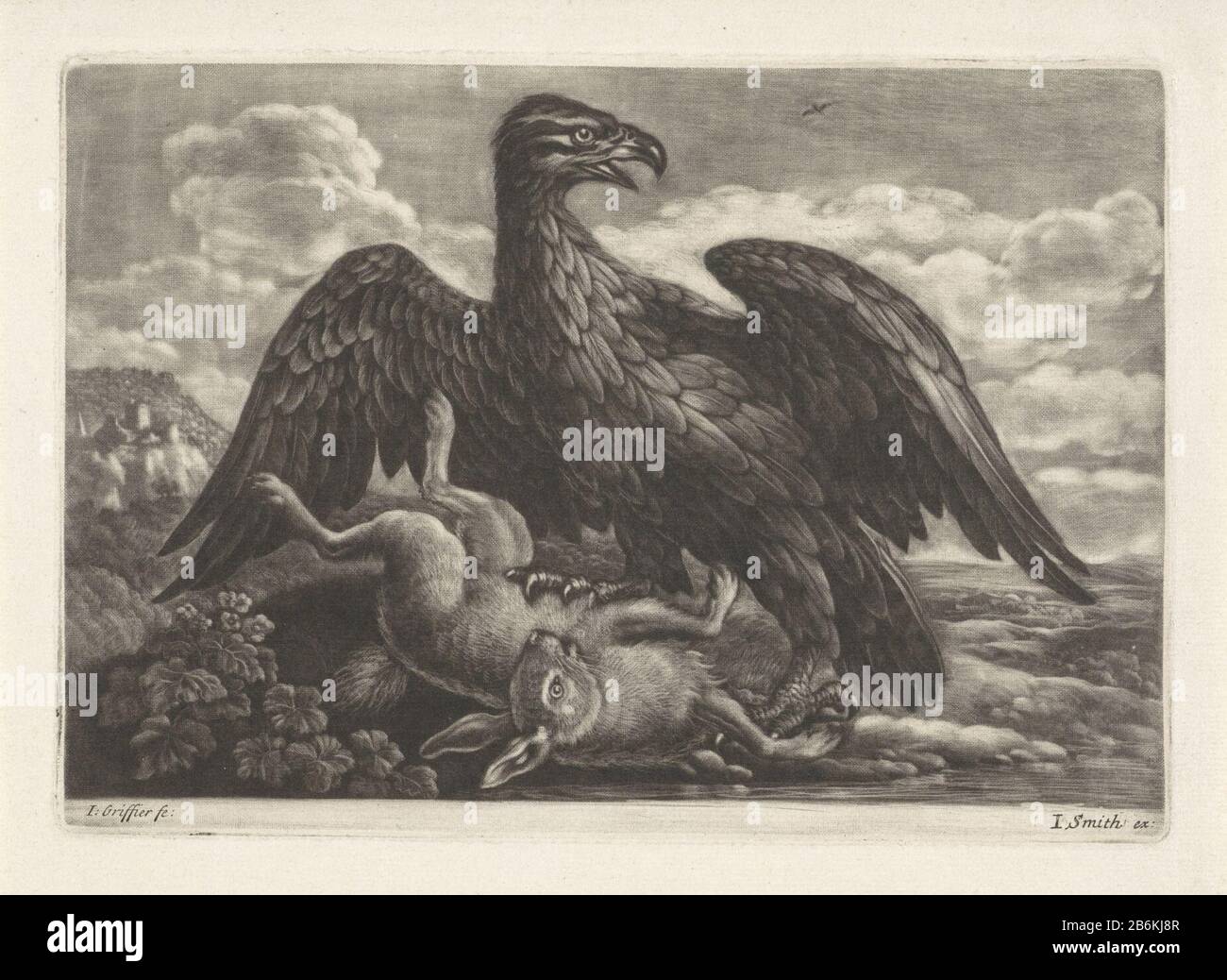 Un'aquila si erge su un lepre Un'aquila ha un lepre catturato. Tiene la lepre con i suoi artigli a bedwang. Produttore : stampatore Jan Registrar (i) (attribuito allo studio), progettato da Francis Barlow Editore: John Smith (stampatore / editore) (edificio elencato) Luogo di produzione: Inghilterra Data: 1667 - 1742 caratteristiche Fisiche: Mezzotinta e engra materiale: Carta Tecnica: Mezzotint / engra (processo di stampa) Misure: Bordo della lastra: H 143 mm × W 204 mm Soggetto: Uccelli predatori: Aquillerodenti: Lepre Foto Stock