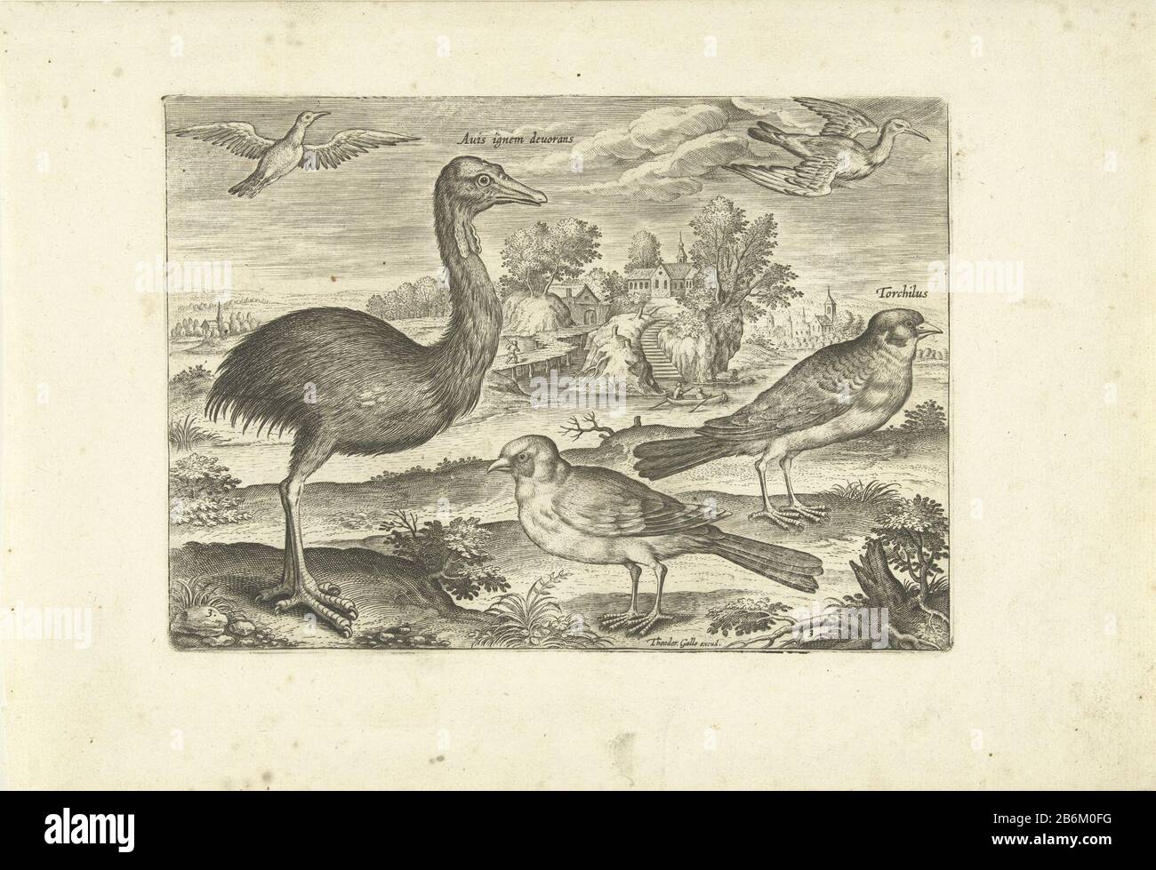 Enkele vogels in een landschap Vogels (seriettel) Avivm vivae (seriettel) un reas, alcune finches e altri due uccelli in un paesaggio con un laghetto. La stampa fa parte di una serie di uccelli come Onderwerp. Produttore : print maker: Adriaen Collaert (indicato sull'oggetto) a design of: Adriaen Collaertuitgever: Theoporte Galle (indicato sull'oggetto) Luogo di produzione: Antwerpen dating: After 1598 - 1618 Caratteristiche Fisiche: Engra materiale : paper Tecnica: Engra (processo di stampa) Misure: Bordo lastra: H 135 mm × W 192 mm Subjectwalker e uccelli runner (CON NOME) song-birds: Lago Finch ( Foto Stock