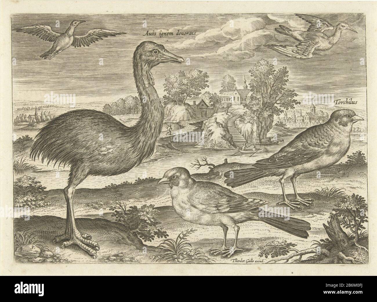 Enkele vogels in een landschap Vogels (seriettel) Avivm vivae (seriettel) a rhea, alcune finches e altri due uccelli in un paesaggio con un laghetto. La stampa fa parte di una serie di uccelli Onderwerp. Produttore : printmaker: Adriaen Collaert (listed property) Designed by: Adriaen Collaertuitgever: Theoporte Galle (listed property) Fabbricazione Del Luogo: Anversa Data: 1598 - 1618 caratteristiche Fisiche: Materiale per auto: Carta Tecnica: Engra (printing process) dimensioni: Bordo della lastra: H 136 mm × W 191 mm Subjectwalker e uccelli (WITH NAME): lago finch (+ paesaggio con figure, personale Foto Stock