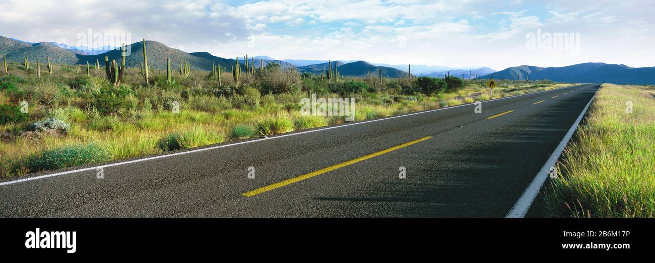 Autostrada 1 Baja (Trans-Peninsula Highway), Mulege, Baja California Sur, Messico Foto Stock
