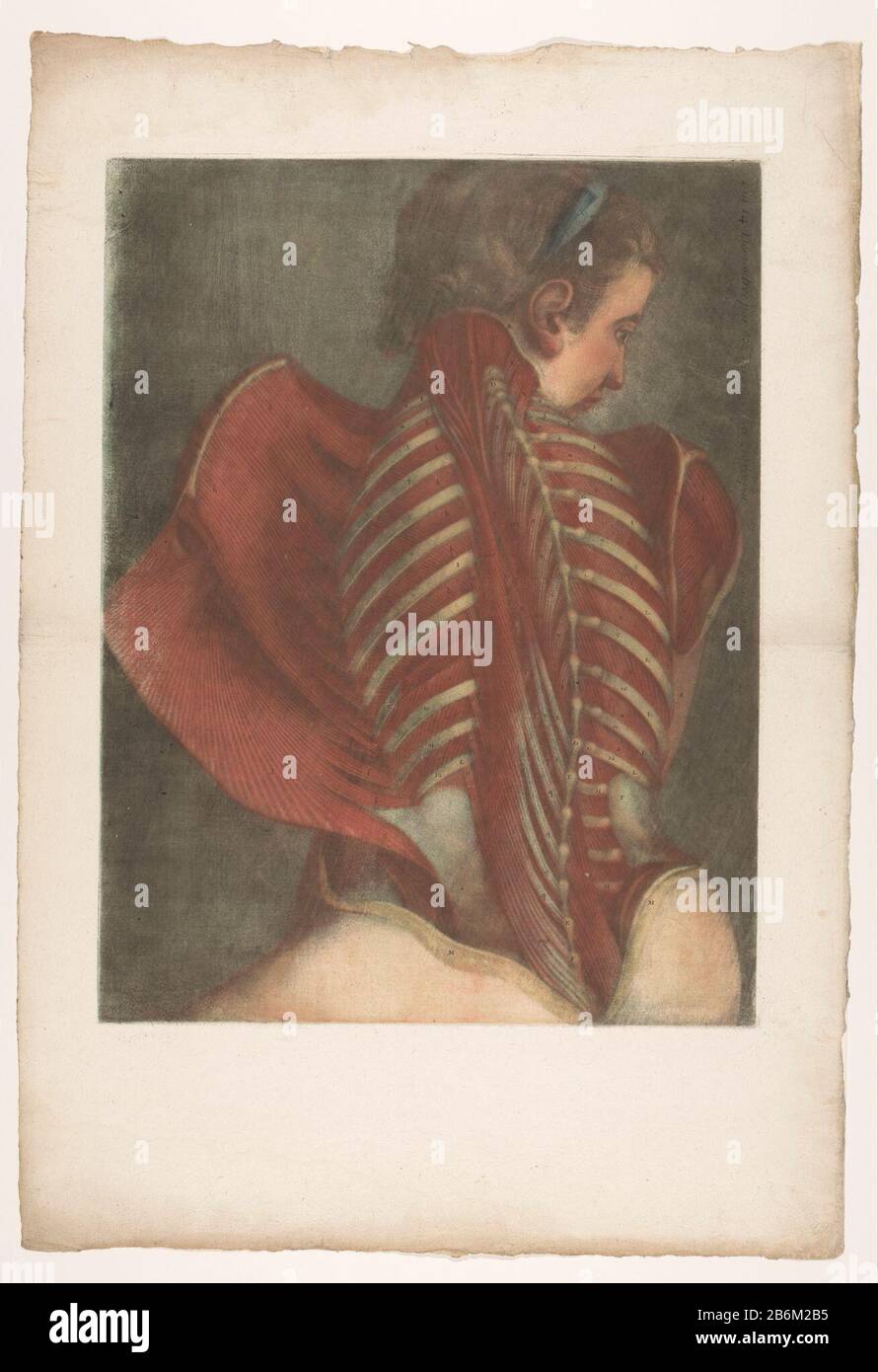 Modello muscolare anatomico fabbricante: Printmaker Jean-Baptiste Gautier Data: 1745 caratteristiche Fisiche: Mezzotint materiale: Carta Tecnica: Mezzotint dimensioni: H 606 mm × W 460 mm Oggetto: Modello anatomico dei muscoli, muscolo-uomo, 'Ã © © Corcha' Foto Stock