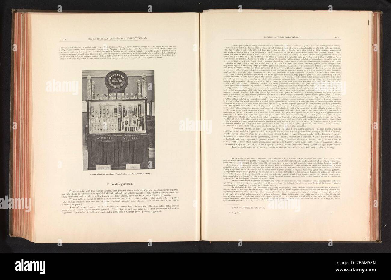Esposizione di scheletri animali a PraagVýstava ucebných pomucek primodnického závodu V. ghiaccio v Praze (oggetto del titolo) tipo Oggetto: Stampa fotomeccanica numero Oggetto: RP-F-2001-7-749B-288 Produttore : fotografo: Anonimlichémaker: Carl Bellmann Luogo fabbricazione: Praga dating: CA. 1891 - in o davanti 1895 Materiale: Carta Tecnica: Autotipia dimensioni: Immagine: H 164 mm × W 120 mmToelichtingPrent a pagina 544. Oggetto: Raccolta, esposizione, esposizione degli animali (+ scheletro di animale) Foto Stock