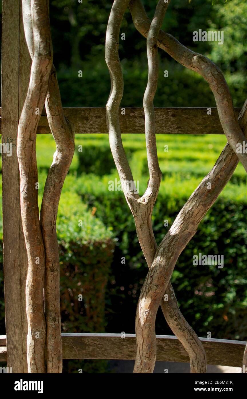 Gazebo con rami intrecciati di alberi vecchi sullo sfondo di un labirinto  in un grande parco in Francia Foto stock - Alamy