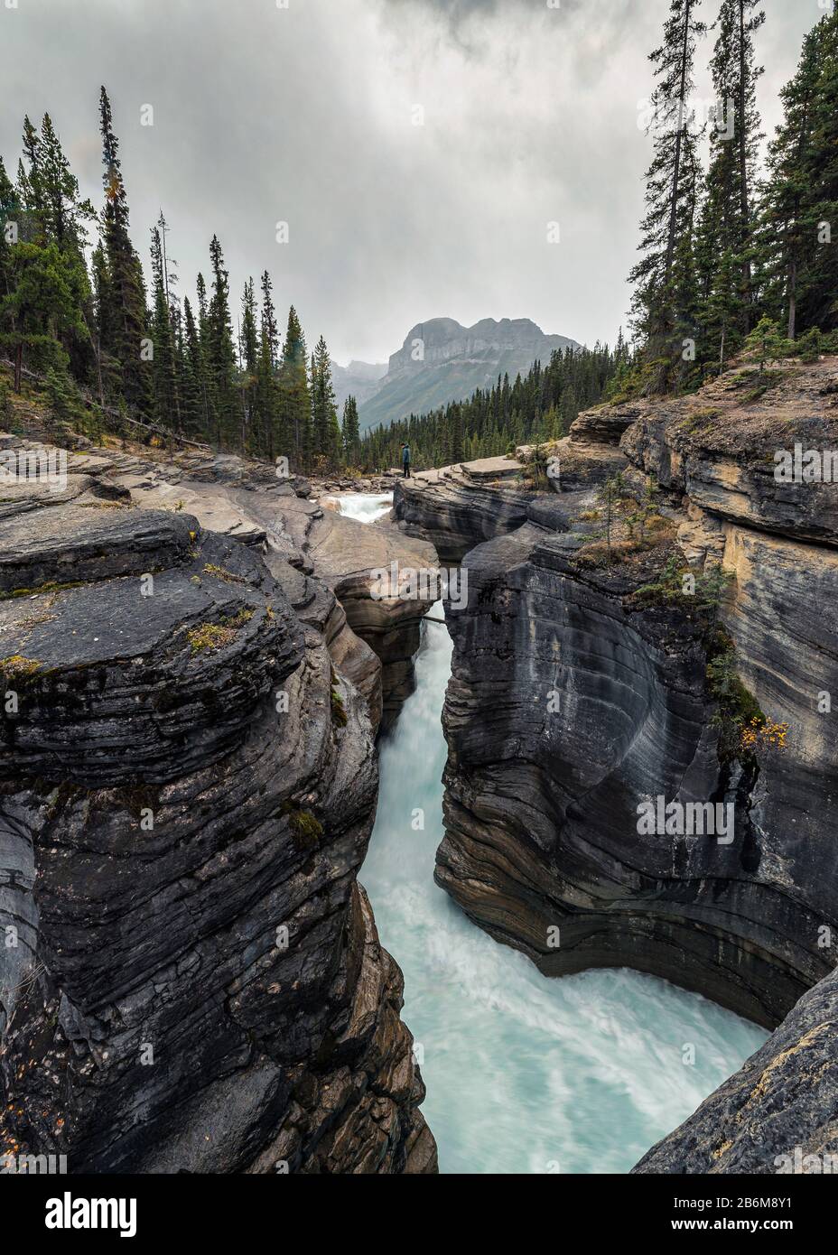 Viaggiatore che si trova sul Mistaya Canyon con la pineta a Icefields Parkway, Alberta, Canada Foto Stock