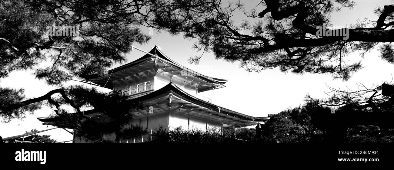 Vista ad angolo basso degli alberi di fronte ad un tempio, il Tempio di Kinkaku-ji, la città di Kyoto, la Prefettura di Kyoto, la regione di Kinki, Honshu, il Giappone Foto Stock