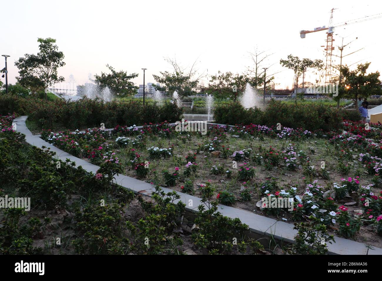 Giardino fiorito/fronte fiume Sabarmati/Ahmedabad-India Foto Stock