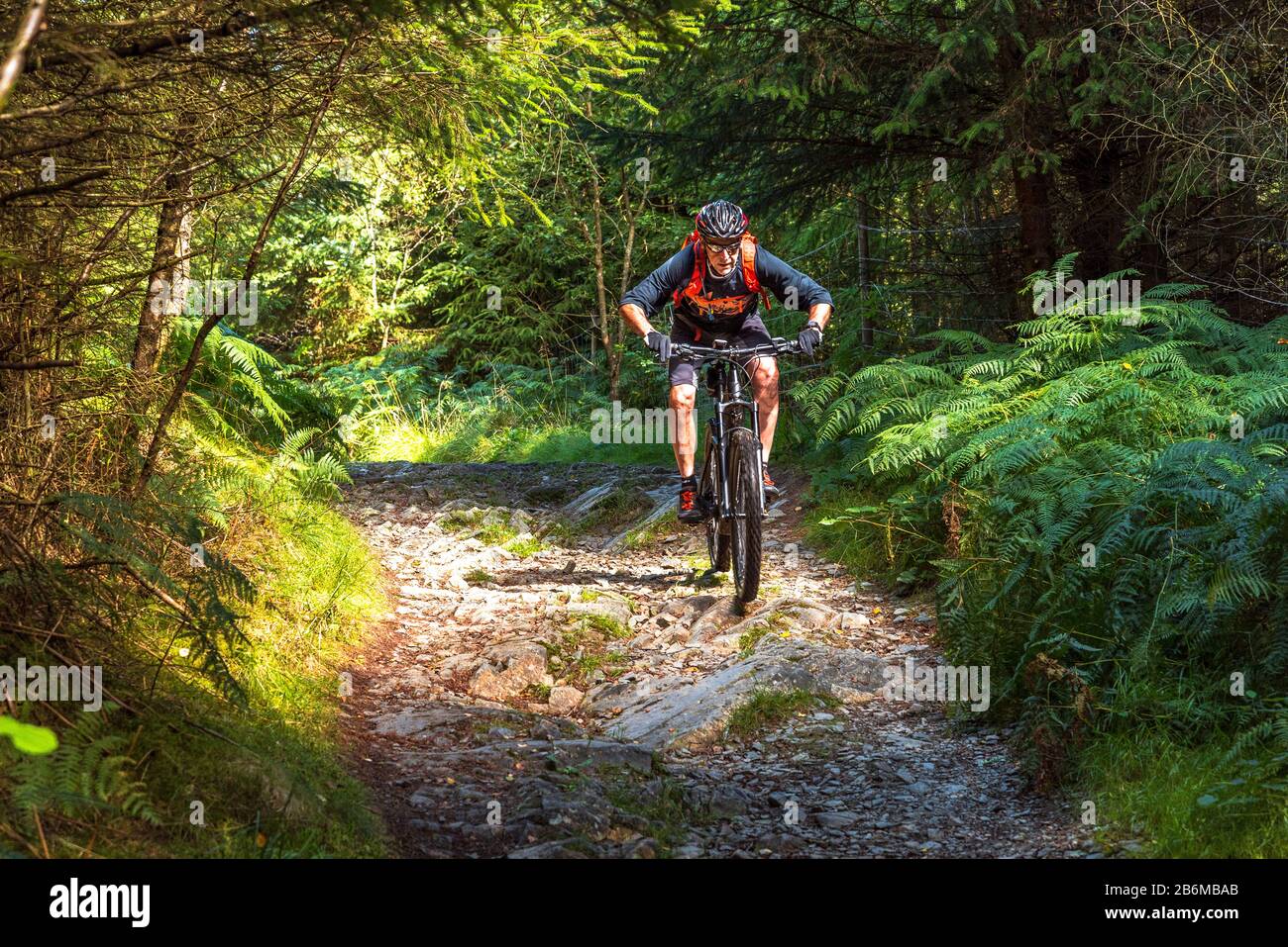 Ciclista (in bicicletta elettrica) su un ponte roccioso nella Foresta di Grizedale nel Distretto dei Laghi Inglese Foto Stock