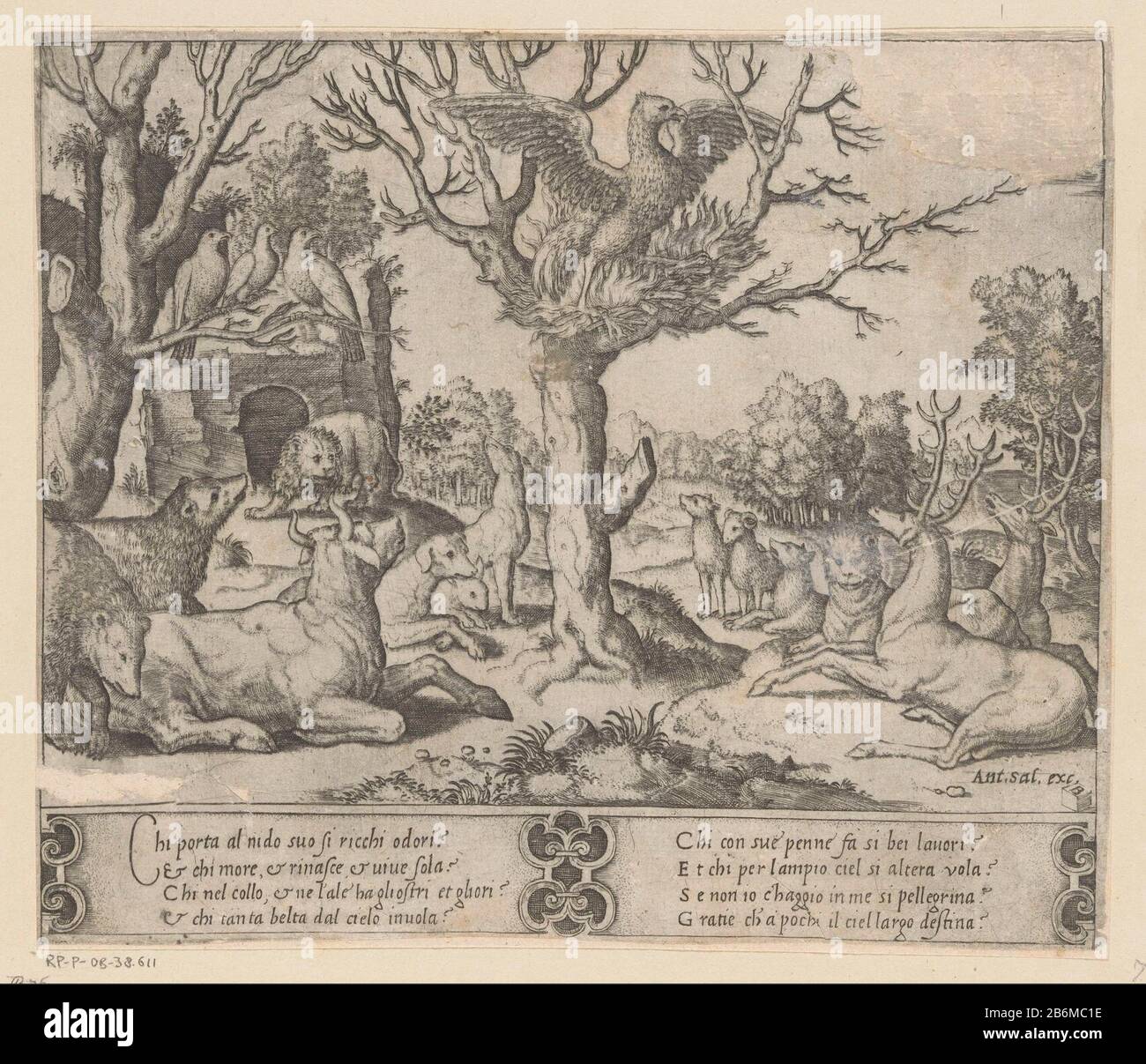 Feniks una fenice autoardente in un albero circondato da altri animali Dove: Tra orsi, cani e cervi. Testo italiano in due colonne ondermarge. Produttore : printmaker Master of the dadi (property) Designed by: Rafael (possible) publisher Antonio Salamanca (property) Place manufactured: Italy Date: CA. 1530 - ca. 1560 caratteristiche Fisiche: Engra con lastra tono materiale: Carta Tecnica: Engra (processo di stampa) / lastra tono dimensioni: Foglio: H 188 mm (taglio bordo interno lastra) × W 222 mm (taglio bordo interno lastra) Note angolo superiore destro strappato e riempito con pap Foto Stock Feniks una fenice autoardente in un albero circondato da altri animali Dove: Tra orsi, cani e cervi. Testo italiano in due colonne ondermarge. Produttore : printmaker Master of the dadi (property) Designed by: Rafael (possible) publisher Antonio Salamanca (property) Place manufactured: Italy Date: CA. 1530 - ca. 1560 caratteristiche Fisiche: Engra con lastra tono materiale: Carta Tecnica: Engra (processo di stampa) / lastra tono dimensioni: Foglio: H 188 mm (taglio bordo interno lastra) × W 222 mm (taglio bordo interno lastra) Note angolo superiore destro strappato e riempito con pap Foto Stock