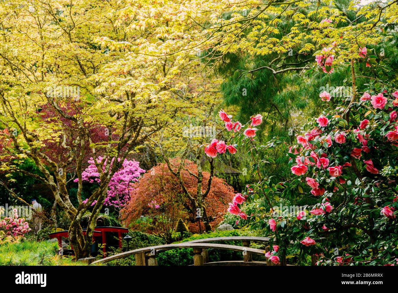 Paesaggio Di Giardino In Stile Giapponese, Butchart Gardens, Vancouver Island, British Columbia, Canada Foto Stock