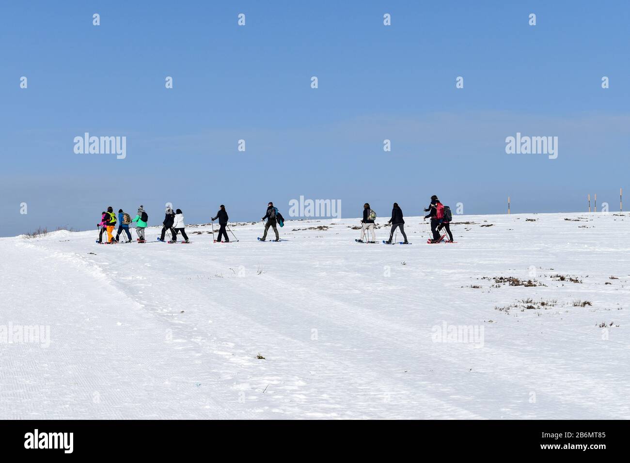 Feldberg, Germania - 25 Gennaio 2020: Escursioni Con Racchette Da Neve. Foto Stock