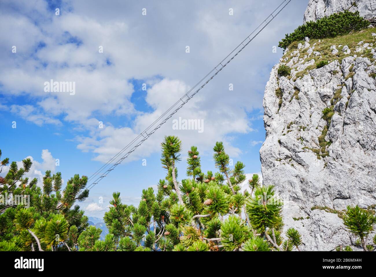 Via Ferrata Ladder all'Intersport klettersteig Donnerkogel route, con ginepri in primo piano. Foto Stock
